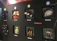 「さわってみよう！怪獣のからだ」コーナーの展示イメージ。 (c)円谷プロ