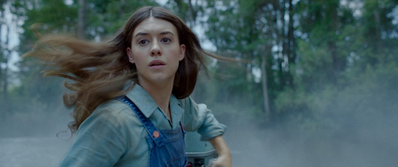 ミステリー映画「ザリガニの鳴くところ」配信スタート、冒頭10分が無料公開