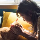 パク・ソダムが猫に「おはよう」、主演作「パーフェクト・ドライバー」の新映像公開