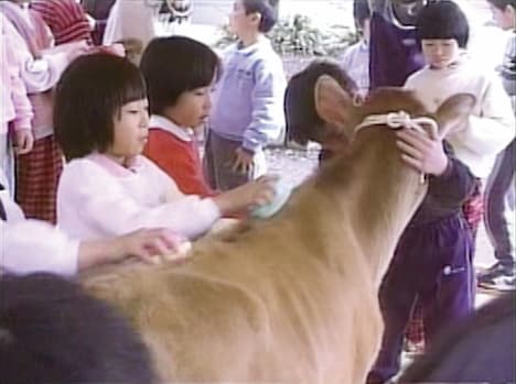 「NONFIX もうひとつの教育～伊那小学校春組の記録～」場面写真  (c)テレビマンユニオン