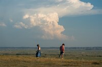 「ボーンズ アンド オール」場面写真