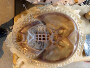 「キラーカブトガニ」メイキング写真