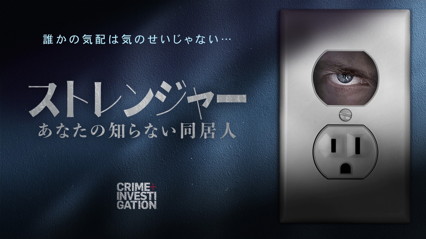 「ストレンジャー -あなたの知らない同居人-」キーアート