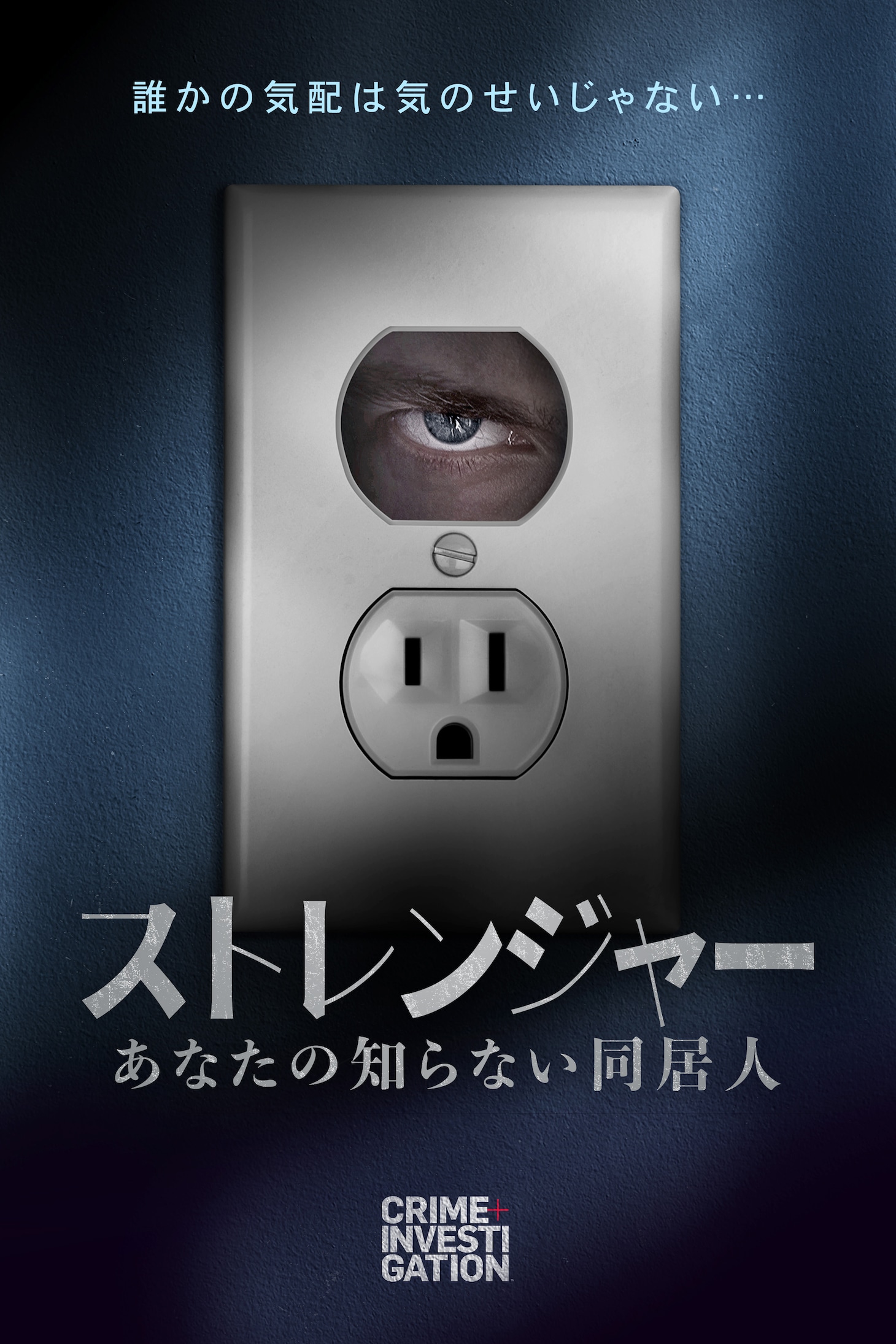 「ストレンジャー -あなたの知らない同居人-」キーアート