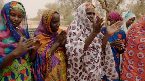 「グレート・グリーン・ウォール」場面写真