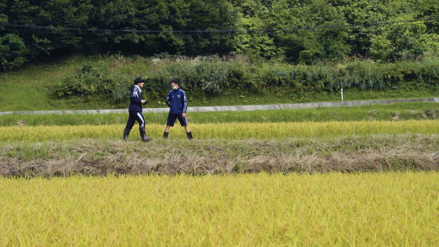 「走れ！走れ走れメロス」場面写真