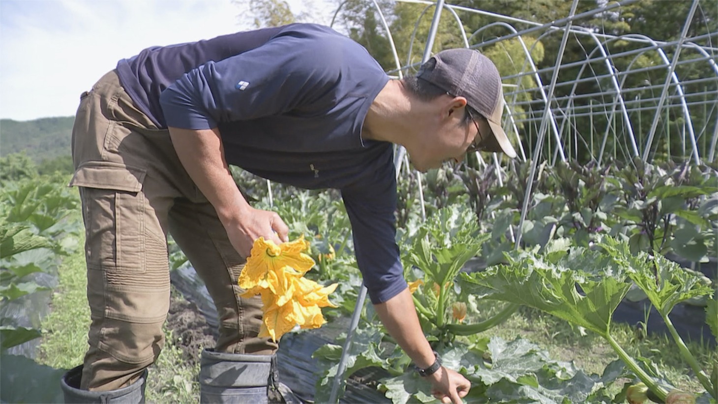 「サステナ・ファーム トキと1％」場面写真 (c)TBS