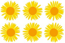 「マイヤ・イソラ 旅から生まれるデザイン」新場面写真