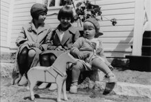 「マイヤ・イソラ 旅から生まれるデザイン」新場面写真