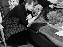 「マイヤ・イソラ 旅から生まれるデザイン」新場面写真