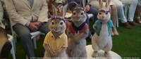 「ピーターラビット2／バーナバスの誘惑」場面写真