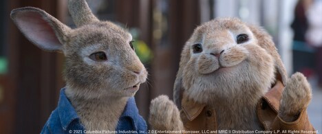 「ピーターラビット2／バーナバスの誘惑」場面写真