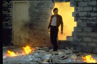 「ビデオドローム」場面写真