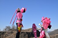 「暴太郎戦隊ドンブラザーズVSゼンカイジャー」場面写真