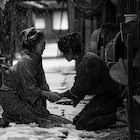 黒木華、寛一郎、池松壮亮らの姿捉えた「せかいのおきく」新場面写真が到着