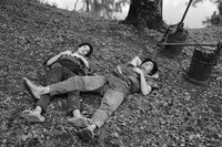 「せかいのおきく」場面写真