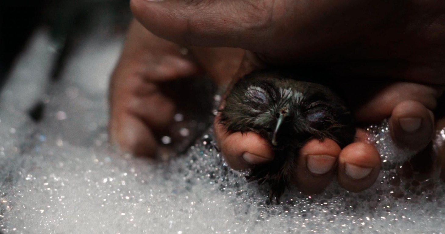 「オール・ザット・ブリーズ」場面写真