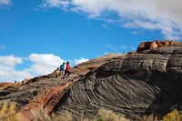 「イントゥ・ザ・ネイチャー 自然が教えてくれること」場面写真