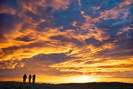 「イントゥ・ザ・ネイチャー 自然が教えてくれること」場面写真