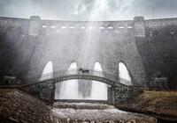 「EO イーオー」場面写真