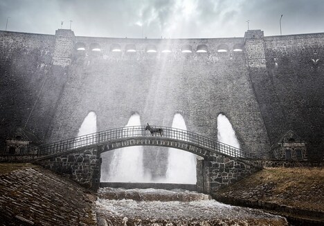 「EO イーオー」場面写真