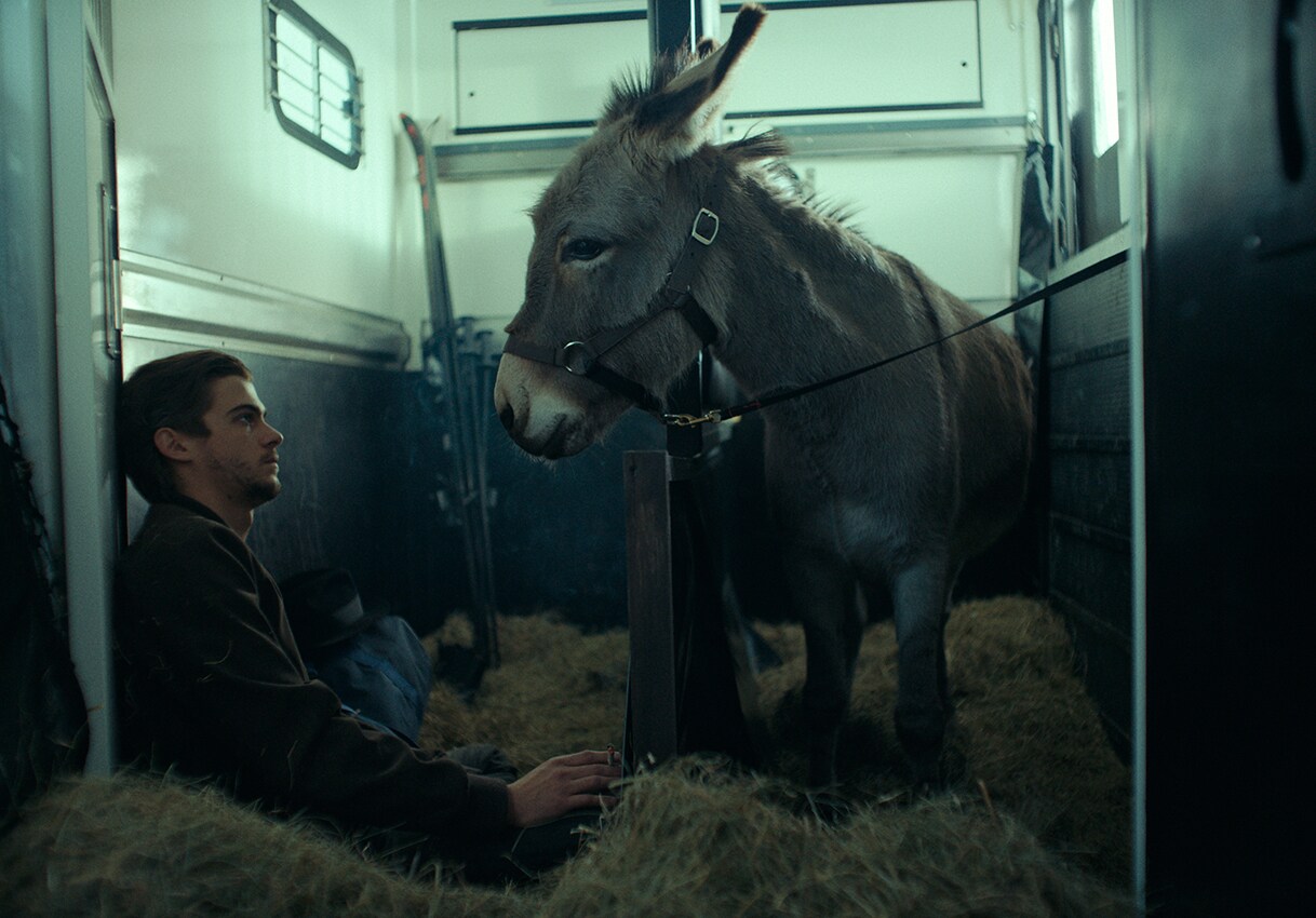 サーカス団から連れ去られたロバの旅描く、イエジー・スコリモフスキの「EO」予告