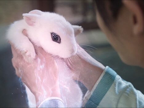 「白兎姫―王子と私の夢語り―」場面写真 (c)2021 BEIJING IQIYI SCIENCE & TECHNOLOGY CO., LTD.