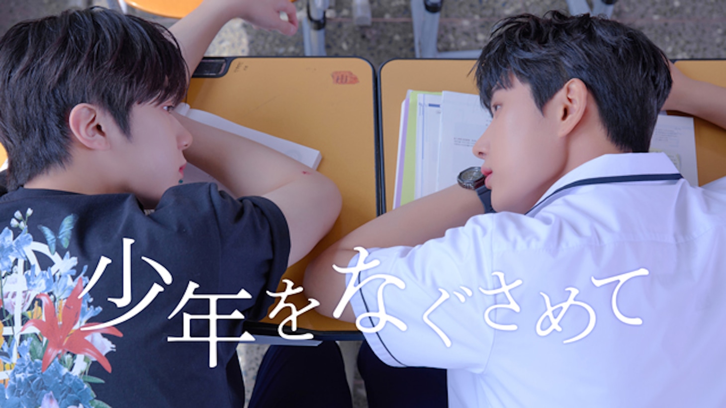 「少年をなぐさめて」ビジュアル