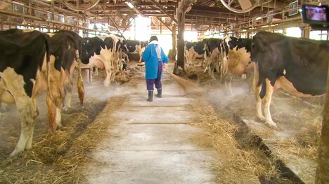 「飯舘村 べこやの母ちゃん」場面写真