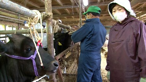 「飯舘村 べこやの母ちゃん」場面写真