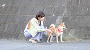 「犬、回転して、逃げる」場面写真
