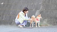 「犬、回転して、逃げる」場面写真