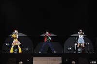 「非公認戦隊アキバレンジャー シーズン痛 らいぶつあーふぁいなる 2013 ～中野へ再遠征～」より。