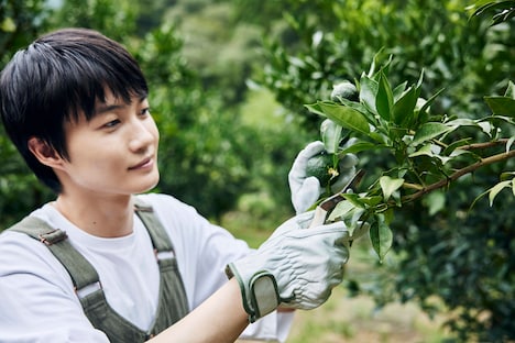 「かみきこうち」収録カット