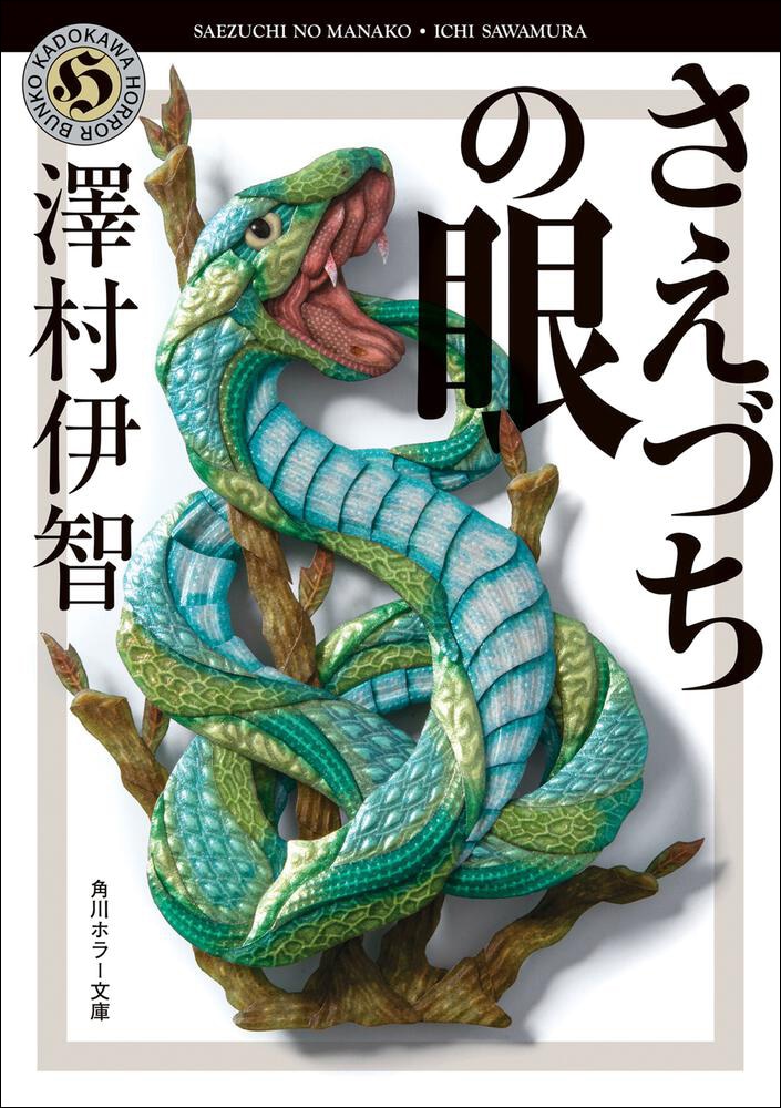 「さえづちの眼」書影