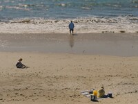 「ザ・ホエール」場面写真