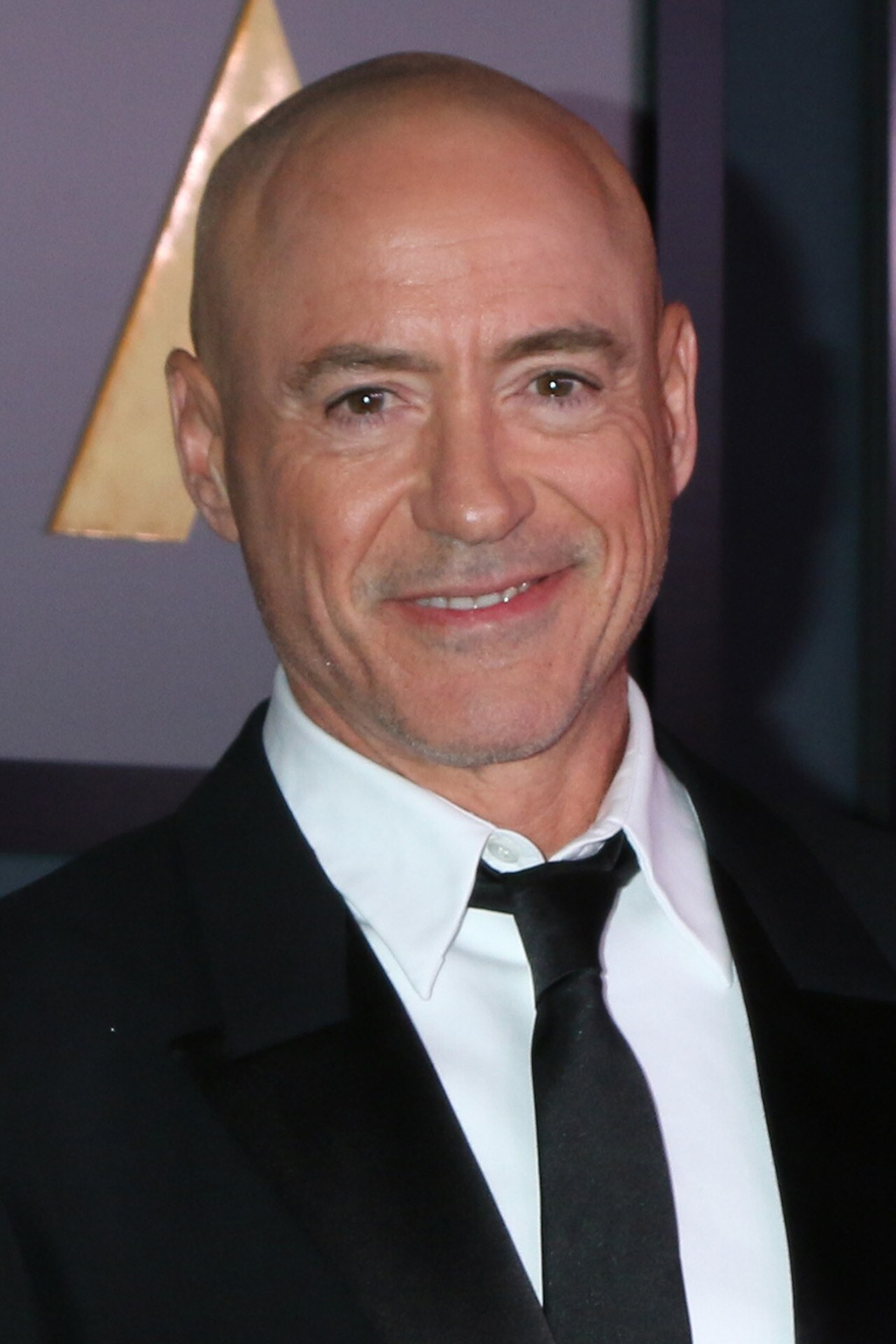 ロバート・ダウニー・Jr.、「めまい」リメイク版の主演候補に