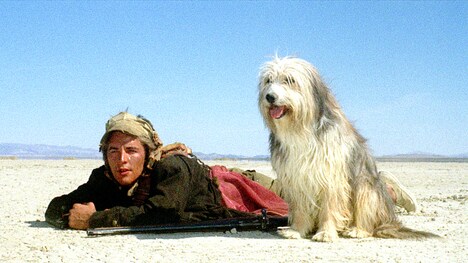 「少年と犬」場面写真