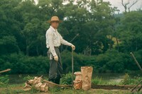 「銀河鉄道の父」場面写真