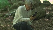 「Ryuichi Sakamoto: CODA」場面写真(c)2017 SKMTDOC, LLC