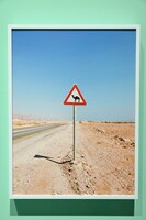 「ラクダの横断」