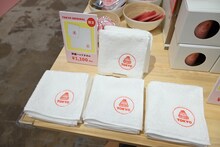 「ウェス・アンダーソンすぎる風景展 あなたのまわりは旅のヒントにあふれている」で販売されるタオル。