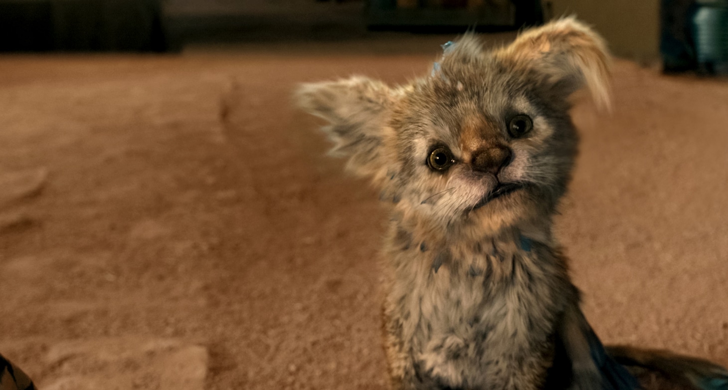 「アレックスとチュパ」場面写真 Netflix (c) 2023