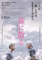 「春に散る」ティザービジュアル