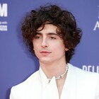 ティモシー・シャラメ、ボブ・ディラン伝記映画で歌に挑む 8月撮影開始へ