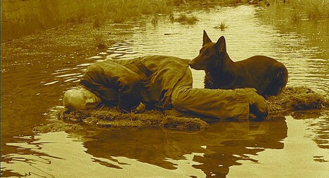 「ストーカー」場面写真