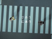 niko and ... 2023春夏 BRAND MOVIE「ワンダーフォーゲル / asmi」場面写真