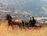 「奴らを高く吊るせ！」場面写真