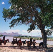 「奴らを高く吊るせ！」場面写真