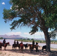 「奴らを高く吊るせ！」場面写真